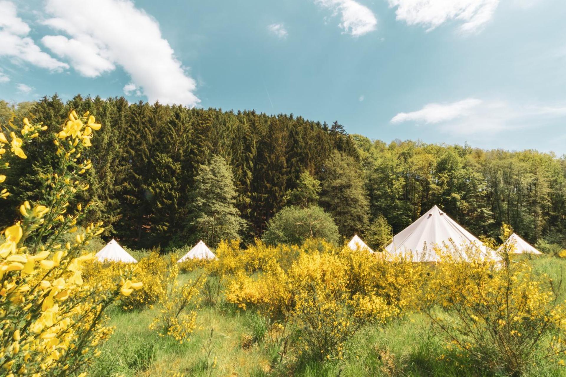 Daft Hotel & Glamping Malmedy Exterior photo